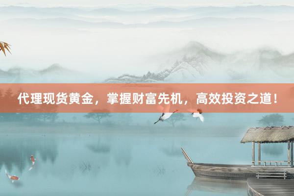 代理现货黄金，掌握财富先机，高效投资之道！