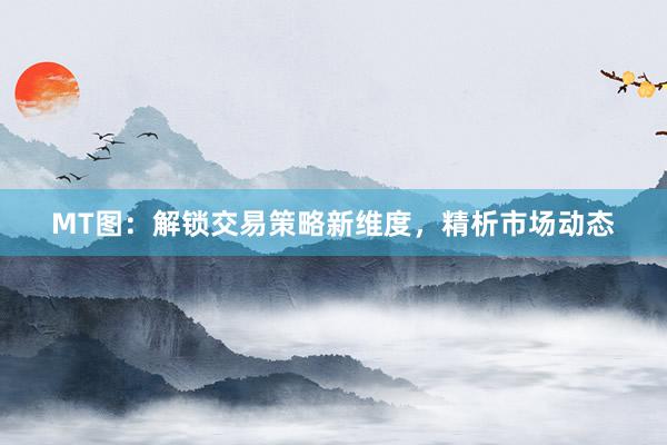 MT图：解锁交易策略新维度，精析市场动态
